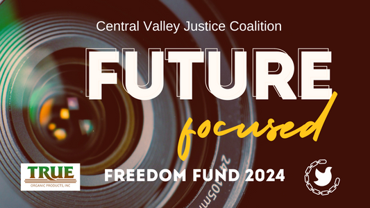 Director Update- Freedom Fund 2024