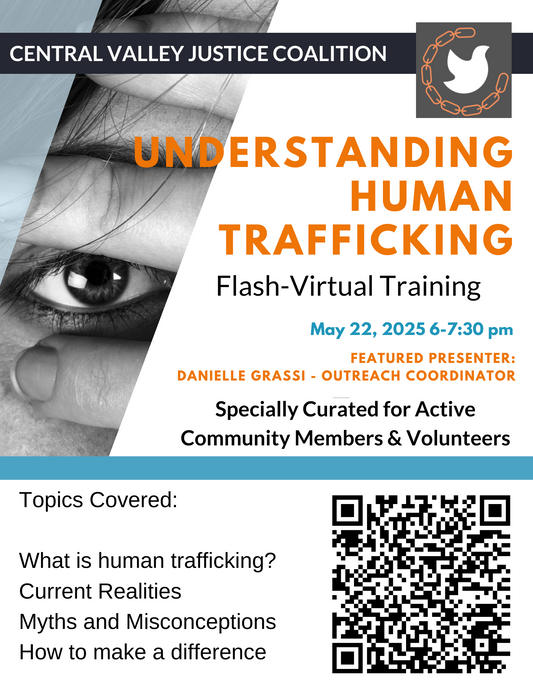 Flash Virtual Understanding Human Trafficking